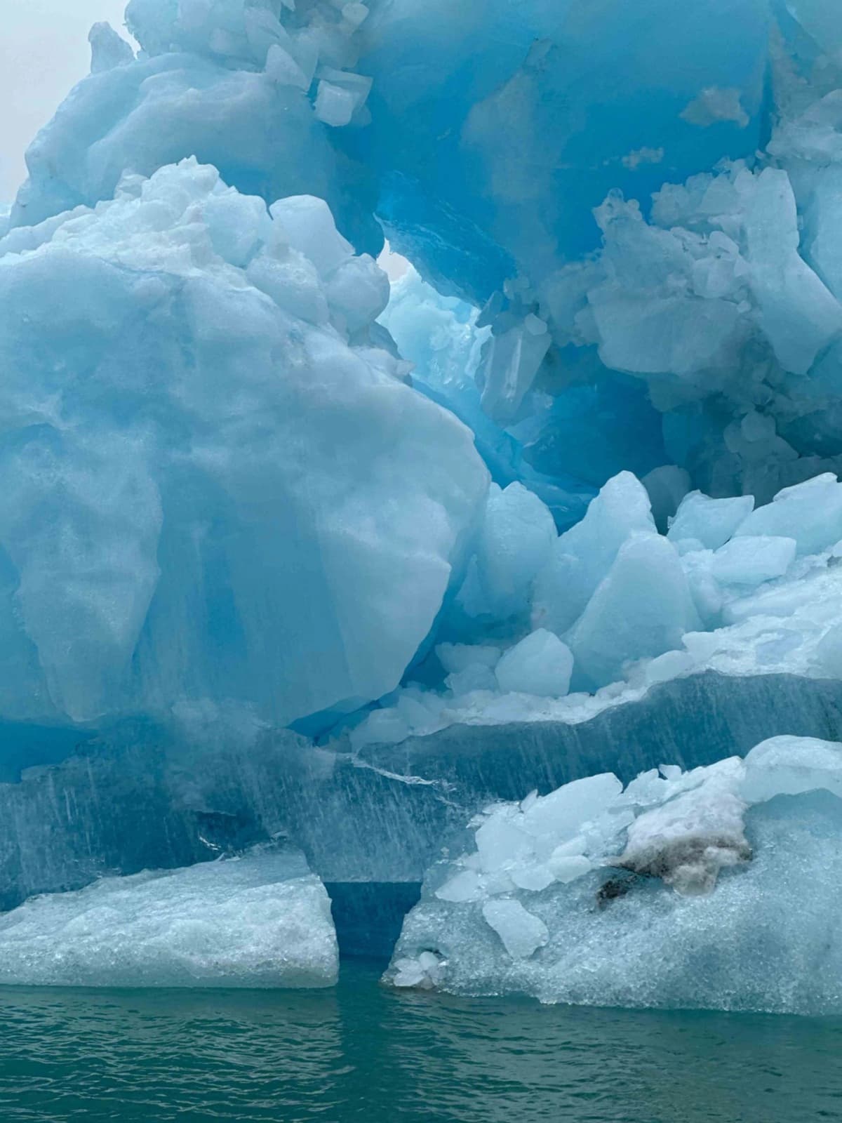 Navega por los fiordos de la Patagonia hasta el magnífico glaciar Jorge Montt.