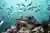 Experiencia de Buceo para Principiantes en Isla Robinson Crusoe