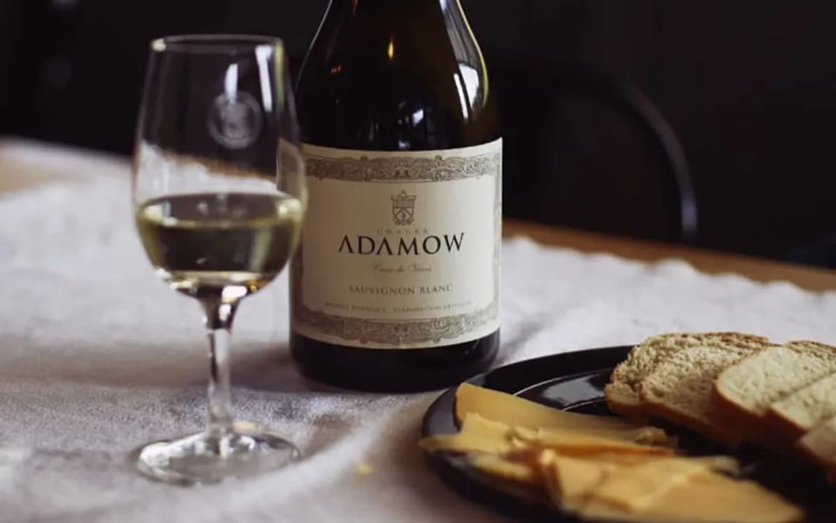 Bodega Adamow: Vinos y naturaleza en Lago Puelo