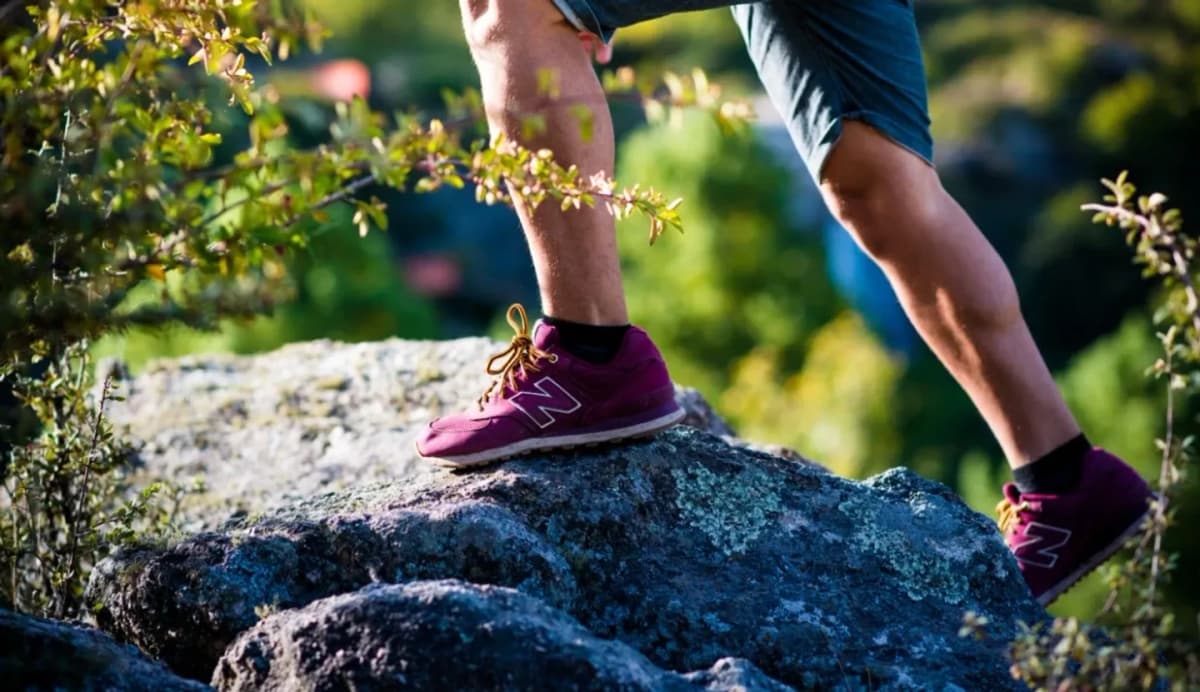 Parque Peñón del Aguila: Pase del Aguila 