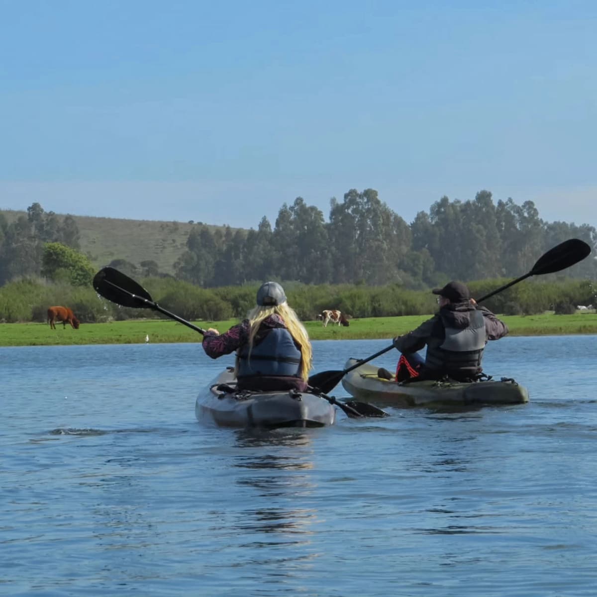 Kayak en el Río Rapel: Ruta Licancheu Río Arriba