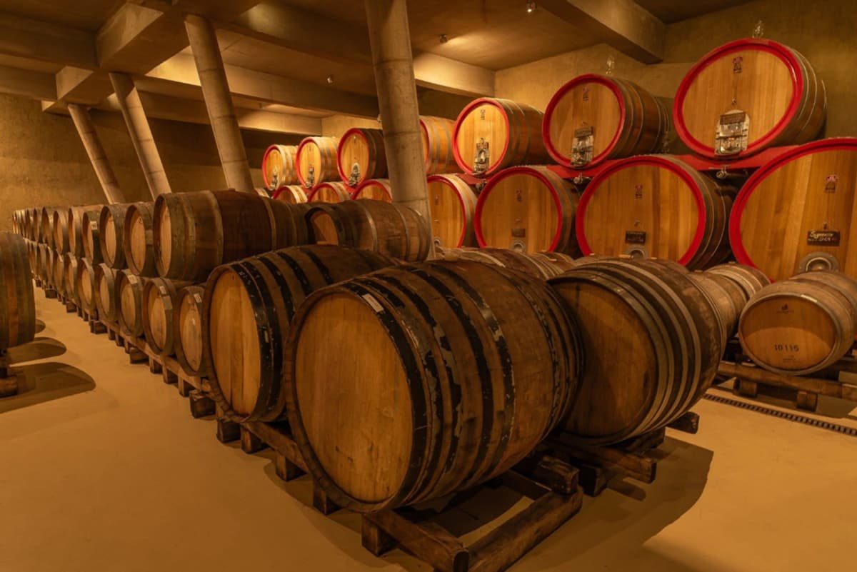 Tour Viñedos del Valle de Casablanca desde Valparaíso