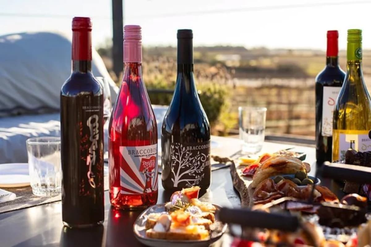 Visita y Degustación Clásica en Bodega Braccobosca