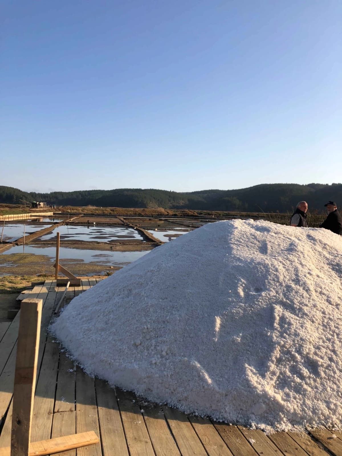 Tradición Costera: Ruta Etnocultural en Punta de Lobos, Pichilemu