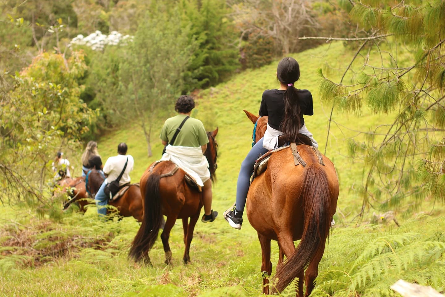 Tour a Caballo en Medellín por Montañas y Cultura Paisa