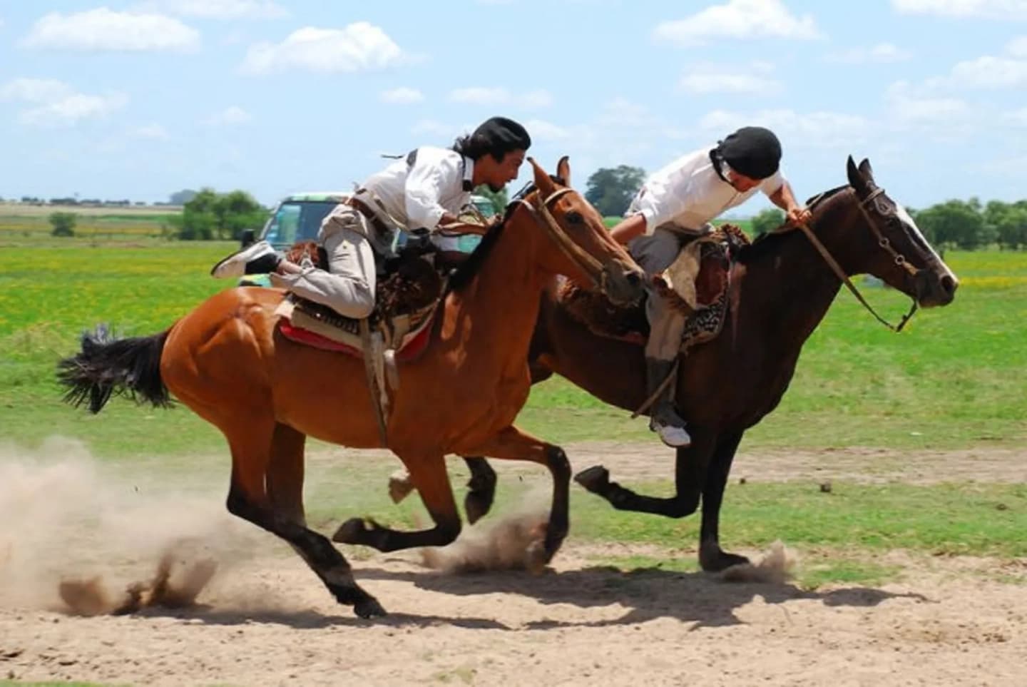 Experiencia Gaucha: Asado, Folclore y Destrezas Criollas en Estancia Don Silvano