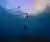 Freediving en Robinson Crusoe: Buceo en Apnea para Todos