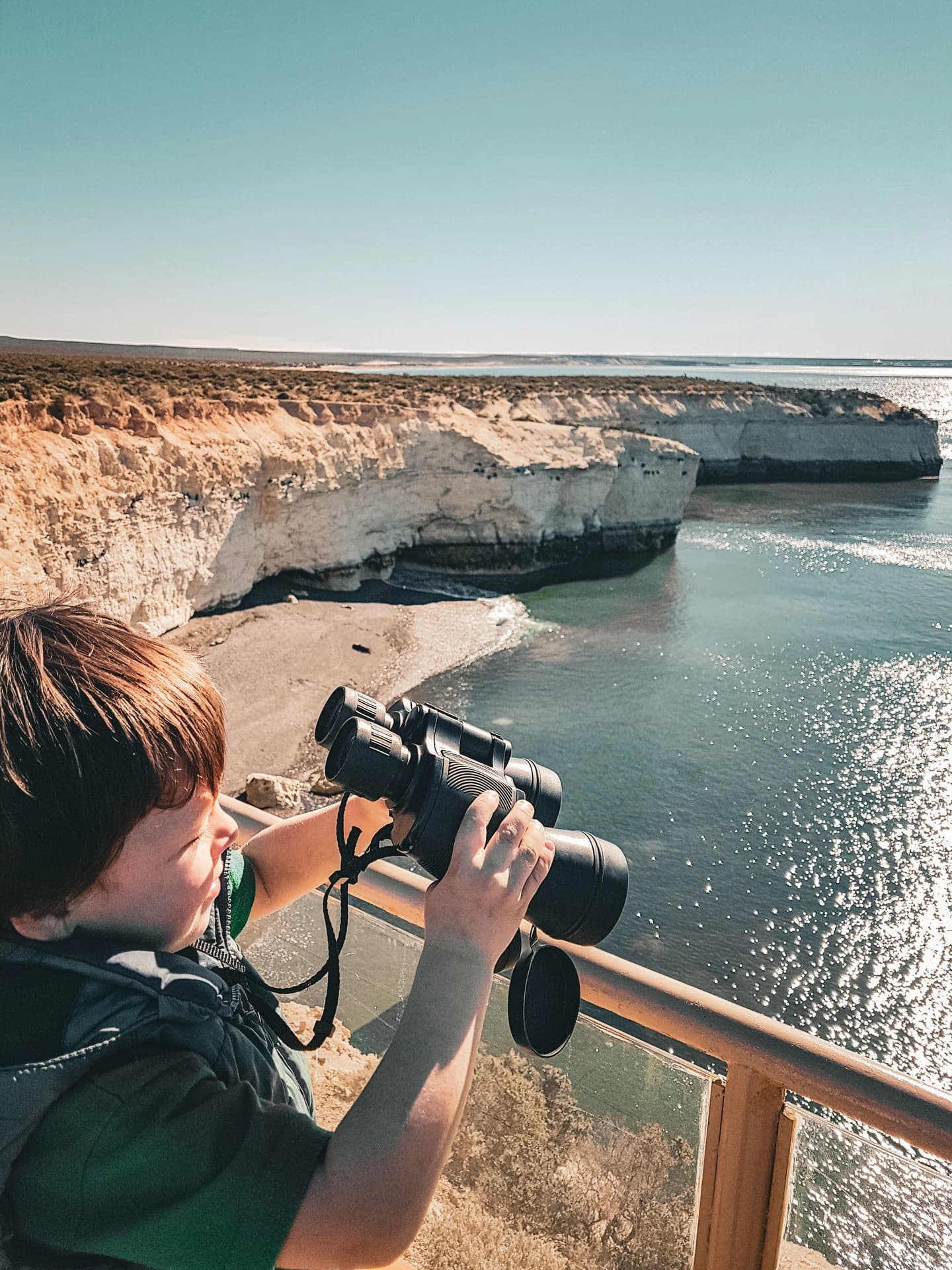 Excursión a Punta Loma y CityTour en Puerto Madryn 