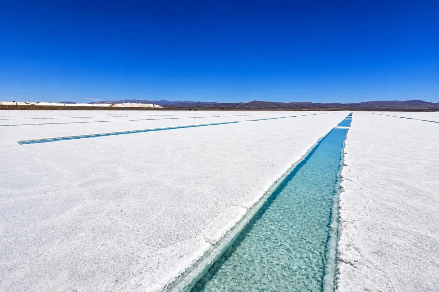 Excursion to the Salinas Grandes from Salta