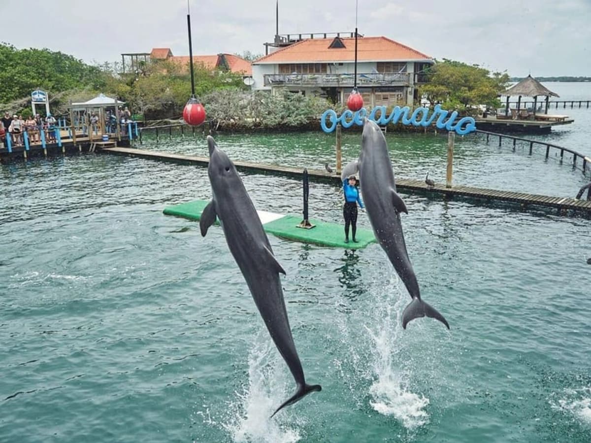 Cartagena: Tour básico por las islas, visita el acuario y almuerza en Barú  terrestre 