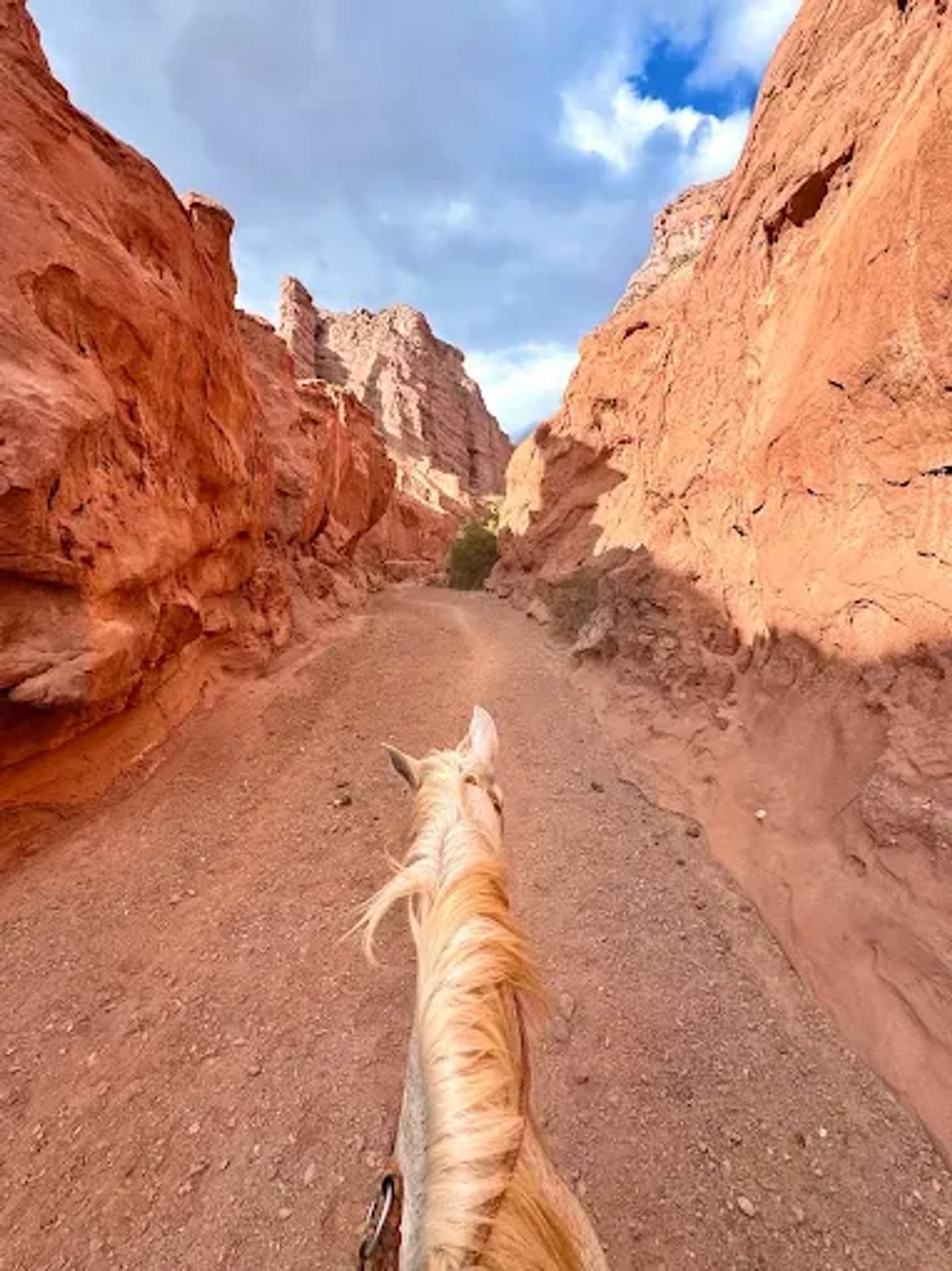 Cabalgata por Río, Médanos y Mirador de Los Colorados de Cafayate