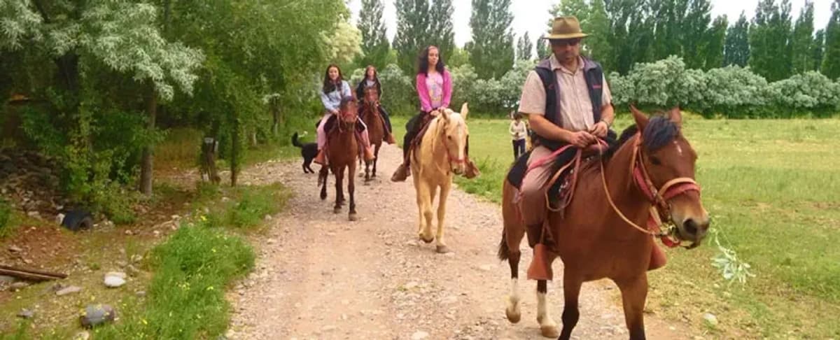 Cabalgata Mirador Cordillera de Colonia Pehuenche