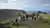The Legend of the Birdman: Tour to Rano Kau, Vinapu and Tahai in Rapa Nui