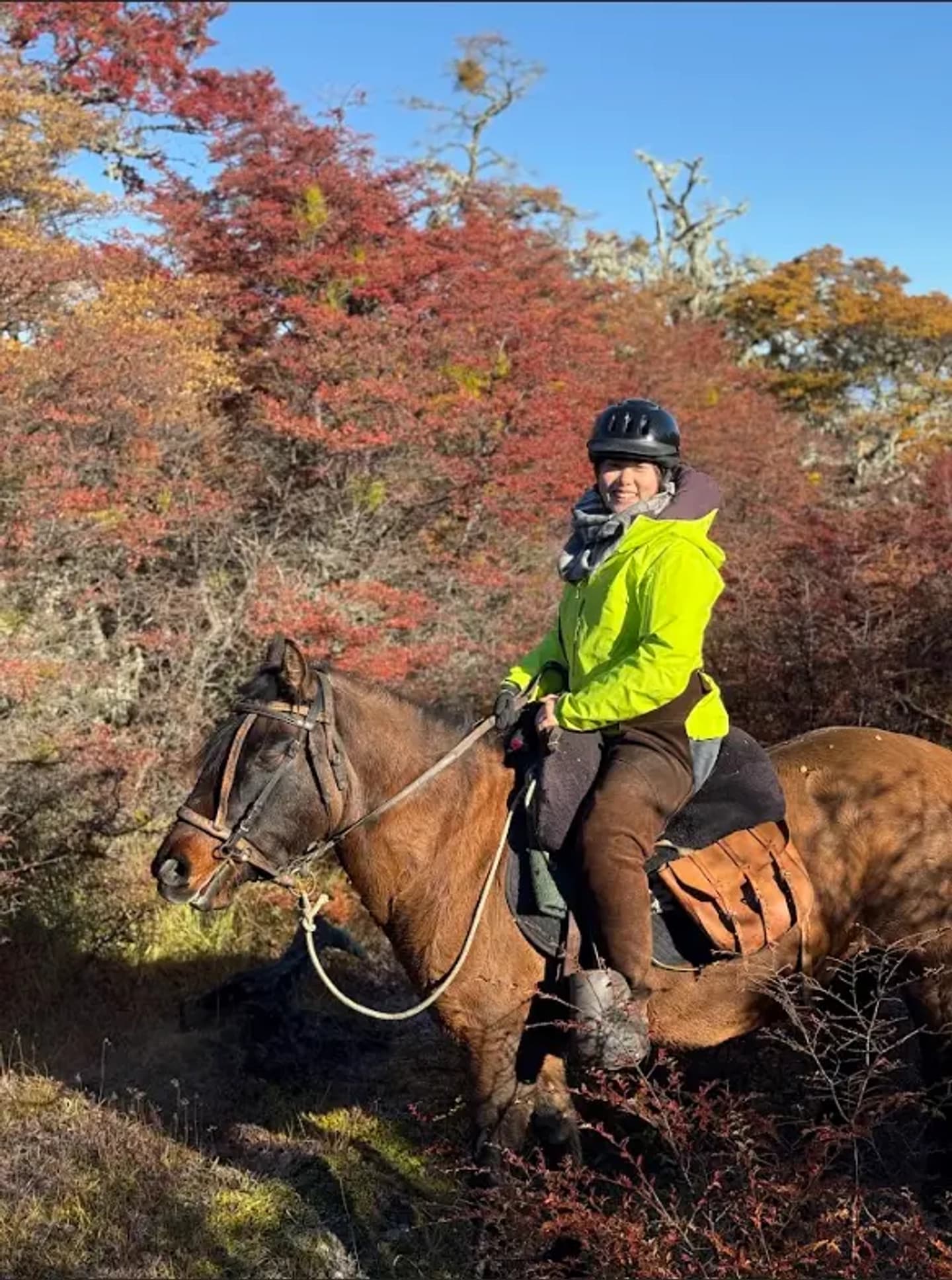Full-Day Horseback Riding in Patagonia from Puerto Natales