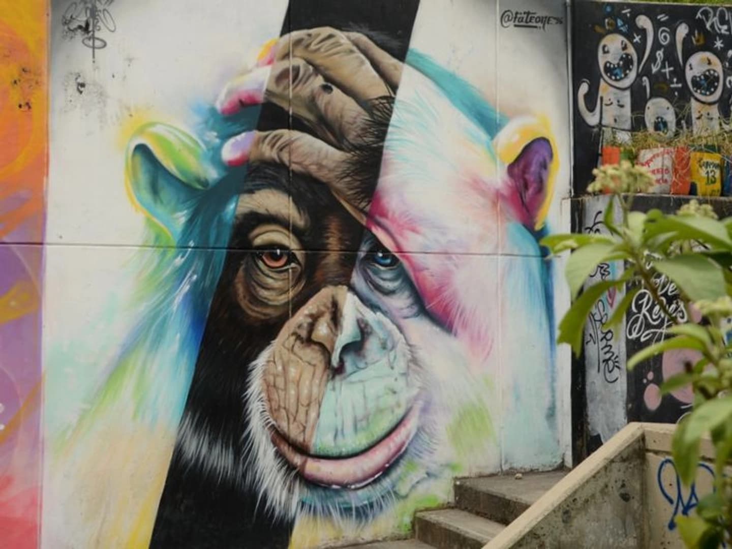 Graffitour por la Comuna 13 y escaleras eléctricas en Medellín