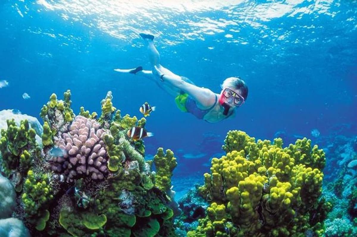 Aventura de Snorkel, ATV, Tirolesas y Cenote desde Cancún