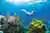 Aventura de Snorkel, ATV, Tirolesas y Cenote desde Cancún