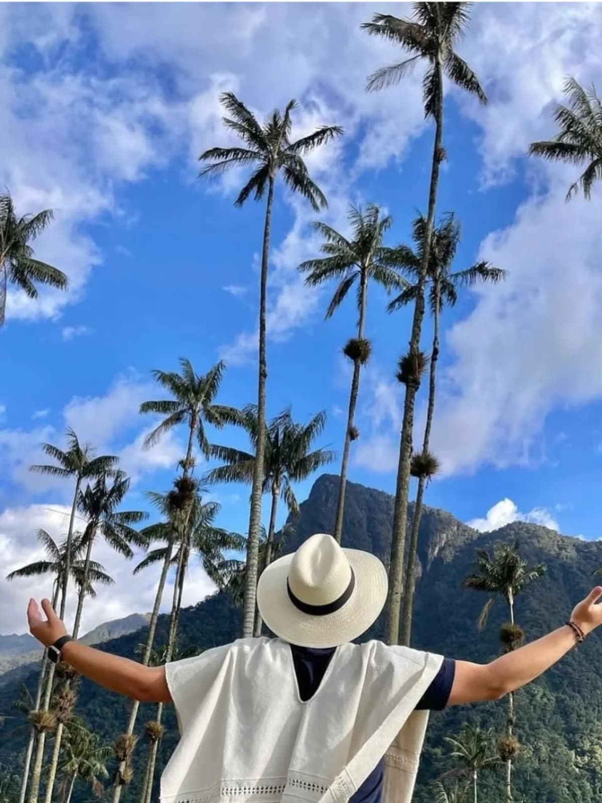 Excursión grupal valle de cocora