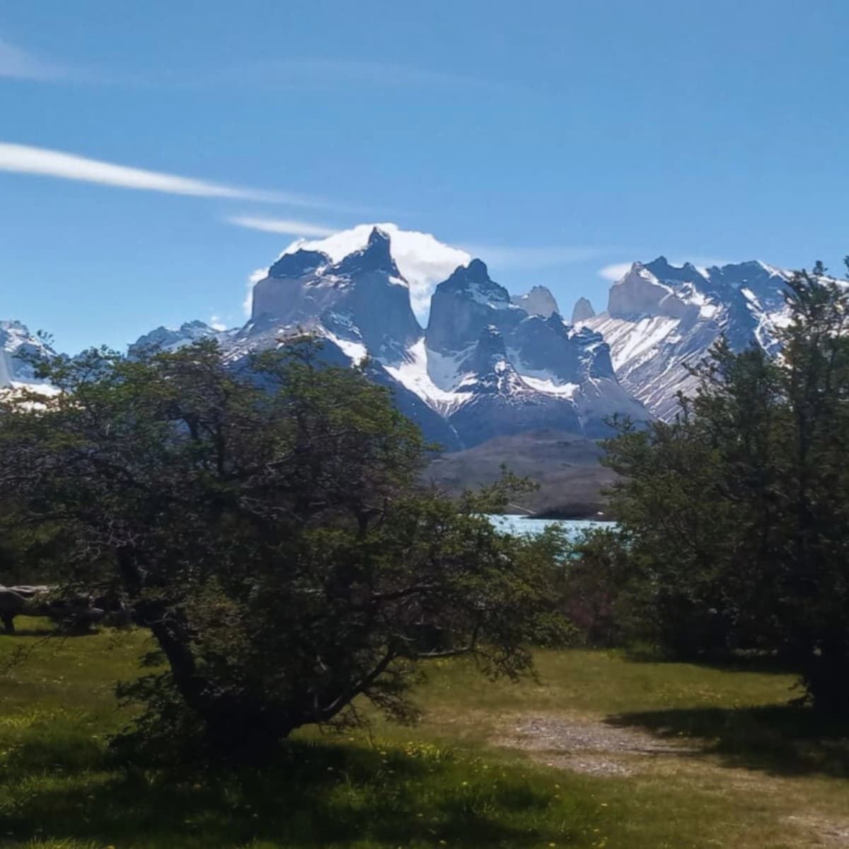 Excursión Torres del Paine desde Punta Arenas: Naturaleza e Historia