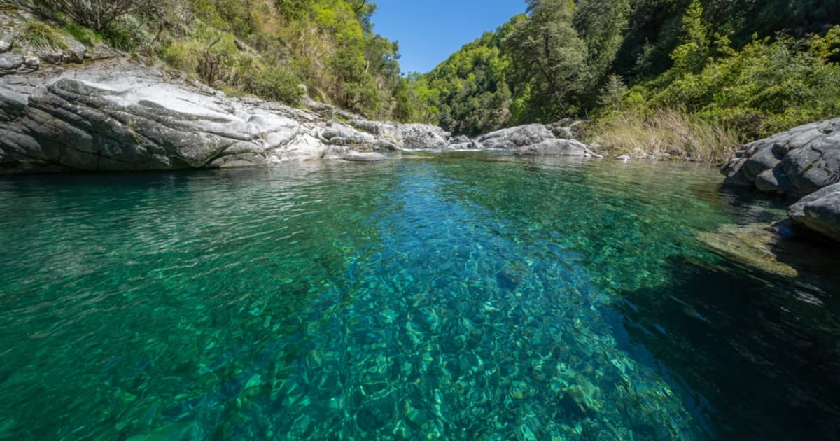 Entrada a la Reserva Nacional Huemules de Niblinto