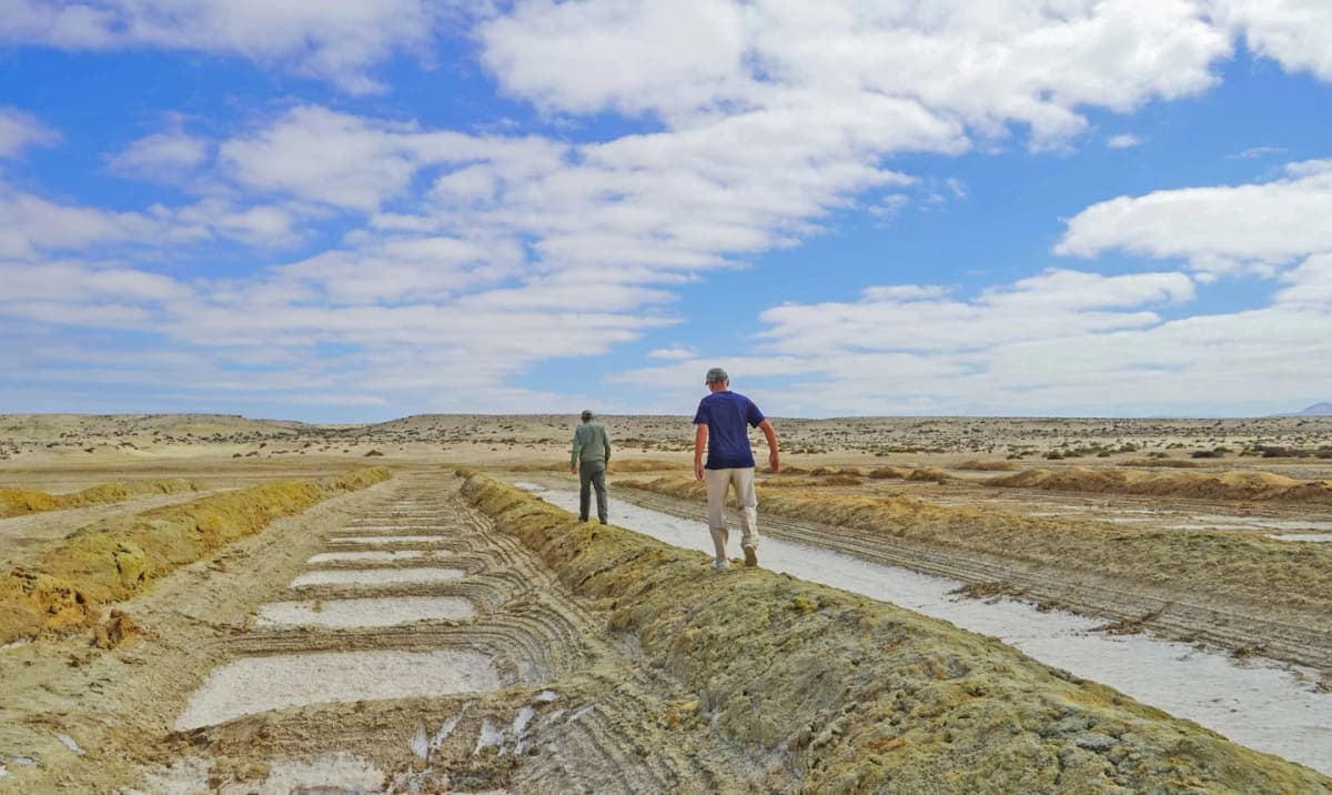 Salt Route: Cultural Tour from Caldera or Bahía Inglesa