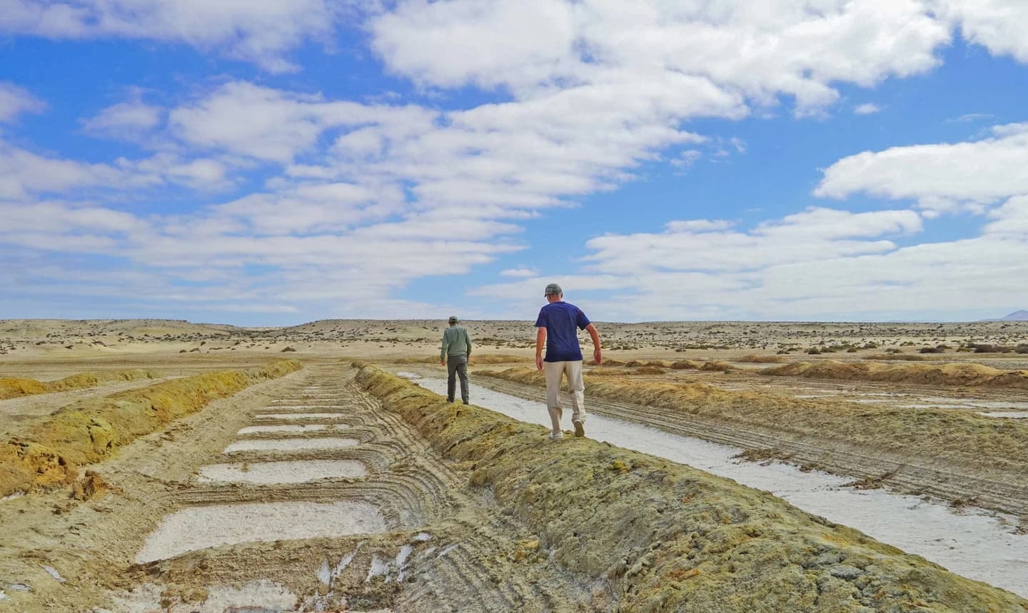 Ruta de la Sal: Recorrido Cultural desde Caldera o Bahía Inglesa