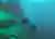 Diving Excursion at Lake Moreno from Bariloche