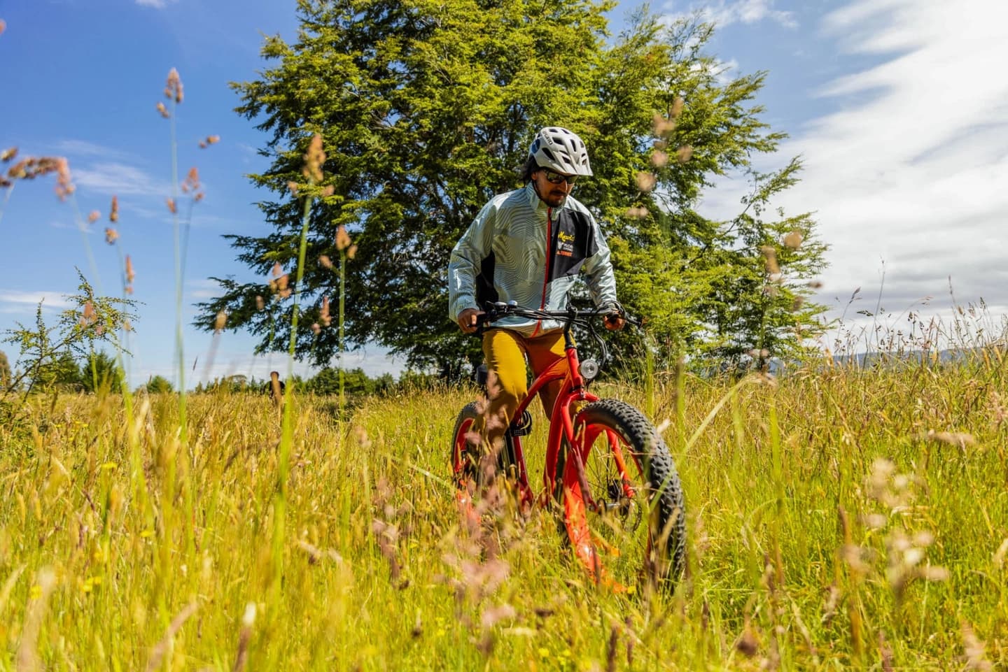 Adventure at Parque Alto Muro: Fat Bike E-Bike Ride