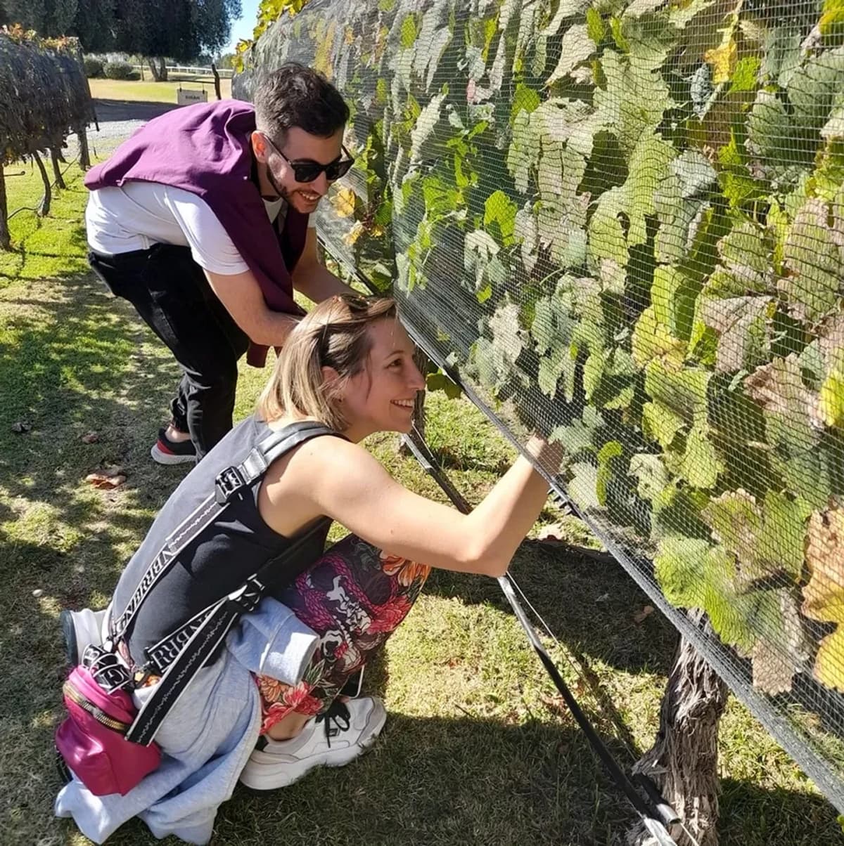 Costumbres Mendocinas: Bodegas y Casa de Campo en San Rafael