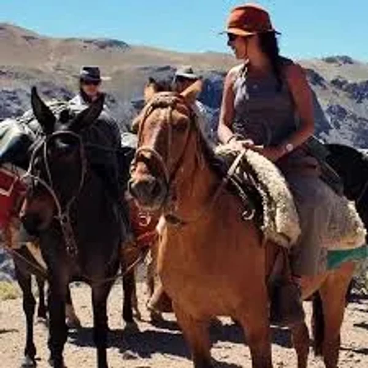 Cabalgata Familiar por la Finca EcoMalargue