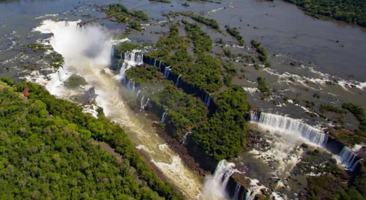 Circuito Cataratas Brasil con Parque de Aves desde Foz do Iguaçu