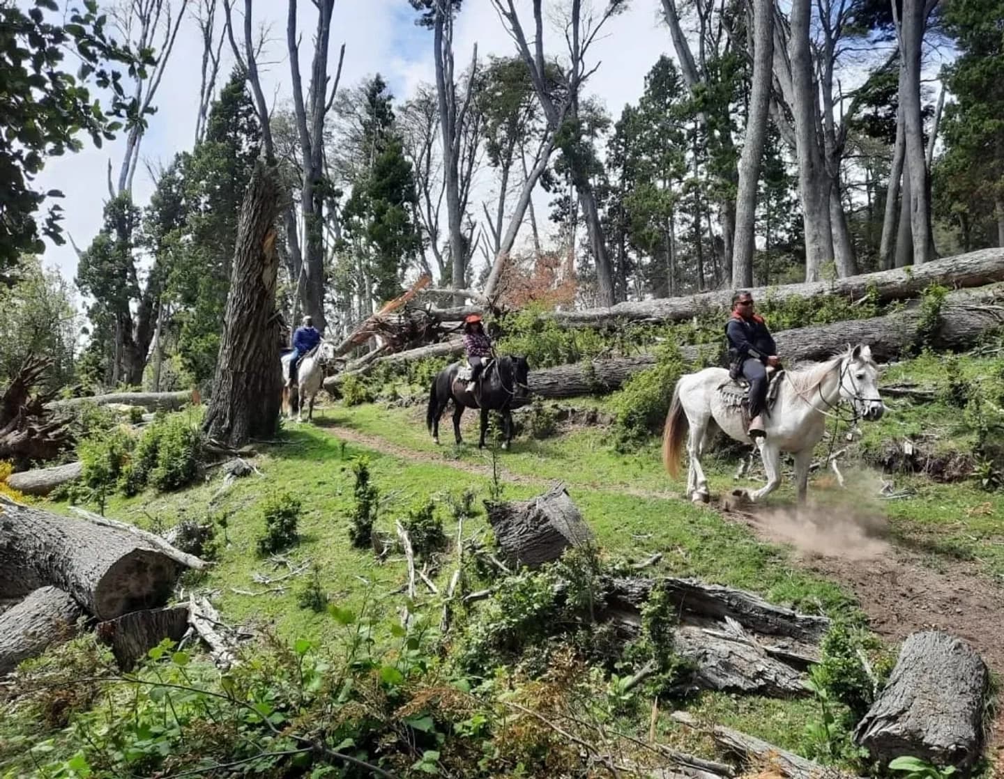 Therapeutic Horseback Ride in Traful Villa Forest