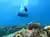 Buceo para Buzos Certificados en Rapa Nui