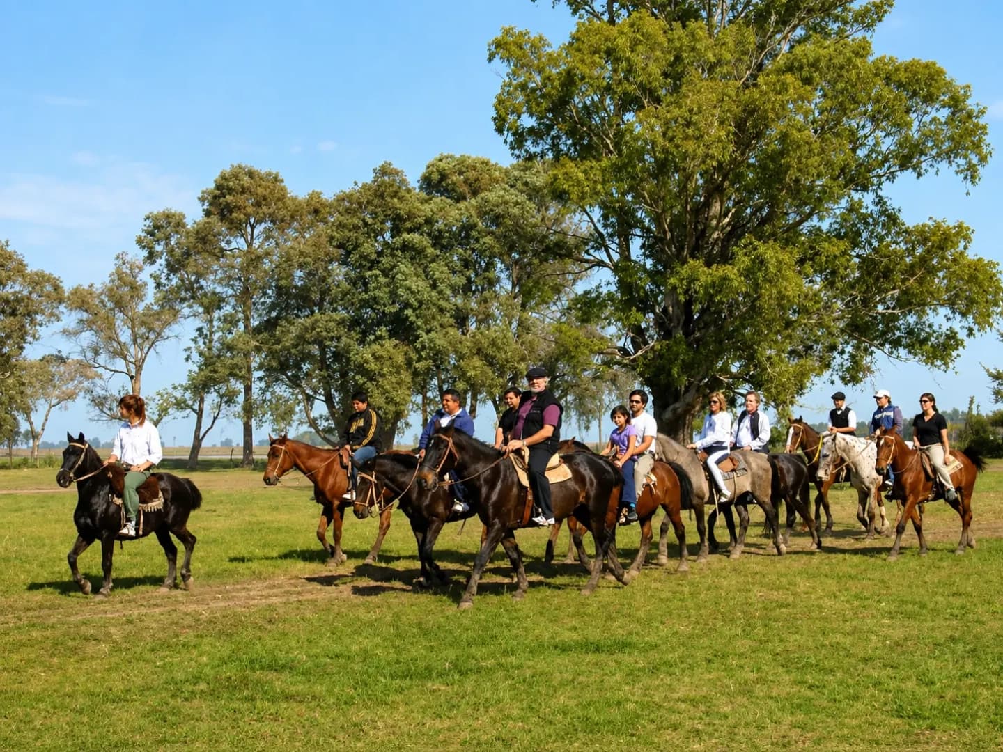 Experiencia Gaucha: Asado, Folclore y Destrezas Criollas en Estancia Don Silvano