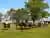 Experiencia Gaucha: Asado, Folclore y Destrezas Criollas en Estancia Don Silvano