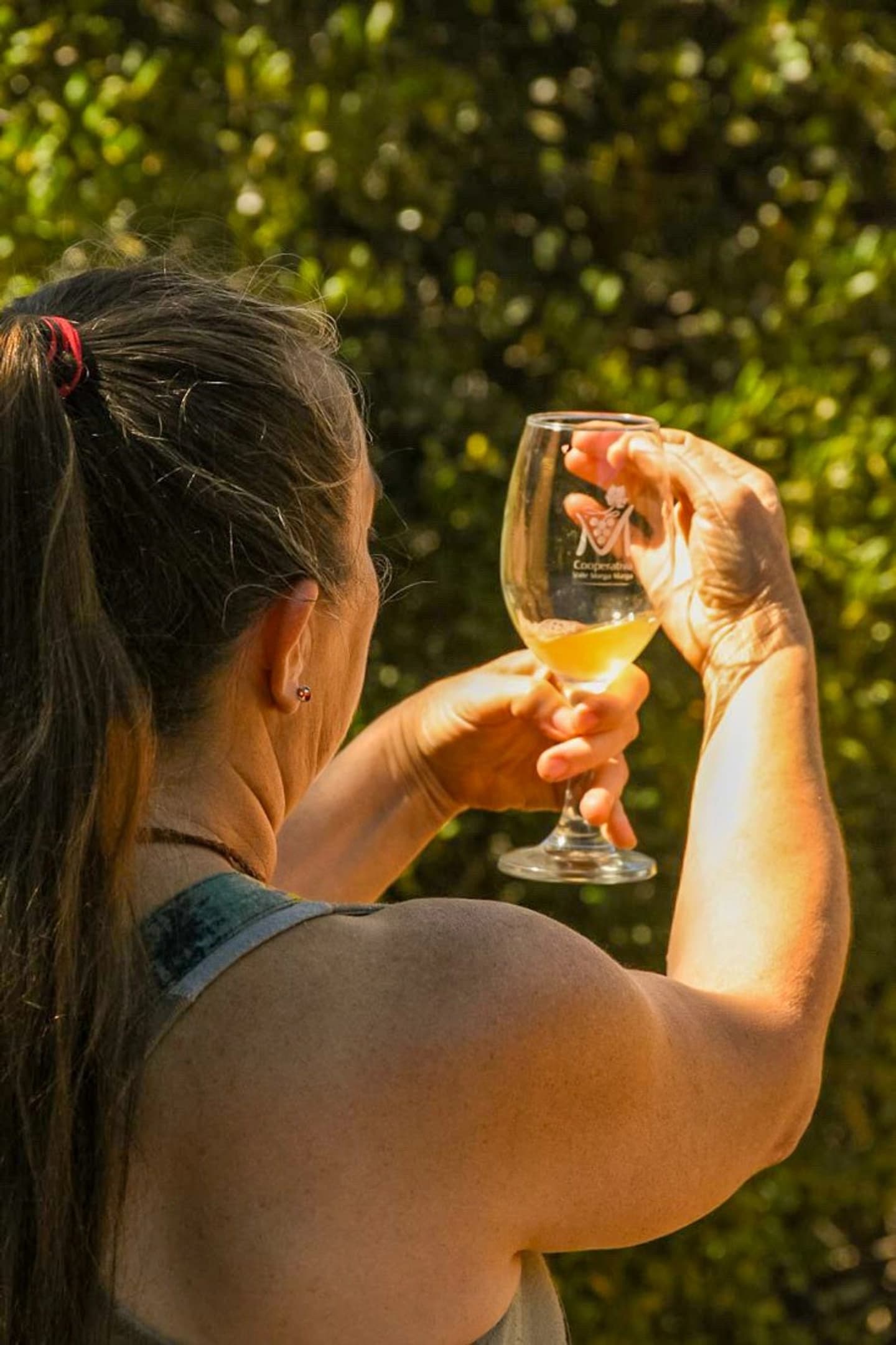 Ruta Secreta del Vino, Senderismo y Tradición en Marga Marga en Quilpué, Valparaíso