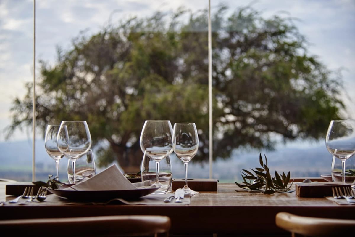 9-Course Tasting Menu with Pairing and Tour at Viña Casas del Bosque, Casablanca