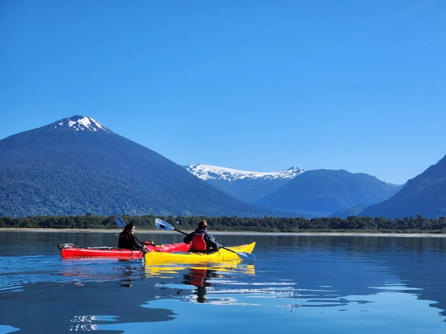 Kayak en los Fiordos de Hornopirén: Naturaleza y Avistamiento de Fauna
