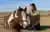 Horseback Riding in Patagonia from Puerto Natales