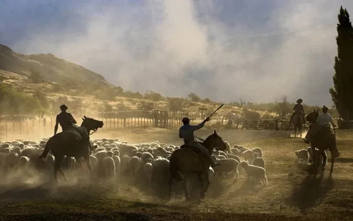 Día de Campo en Estancia Nibepo Aike con Almuerzo