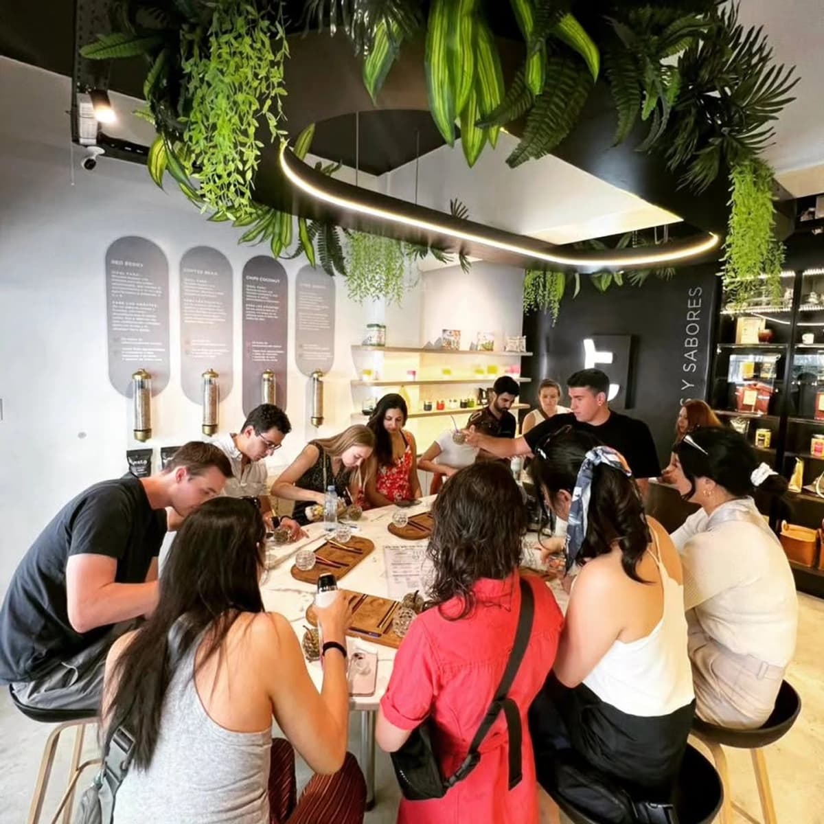 Experiencia Matea: Masterclass y Degustación de Mate Argentino