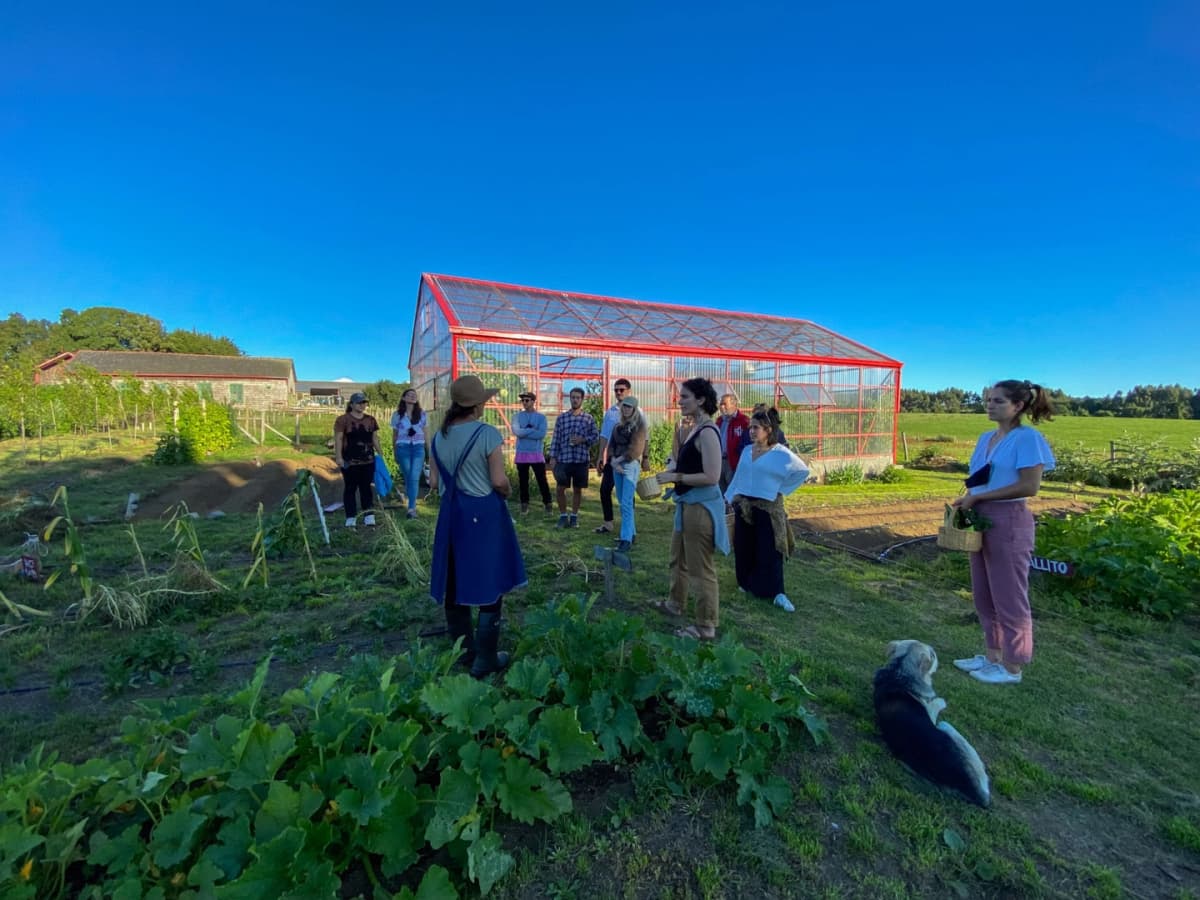 Tour de Campo en Fundo Playa Venado: La Esencia del Sur de Chile