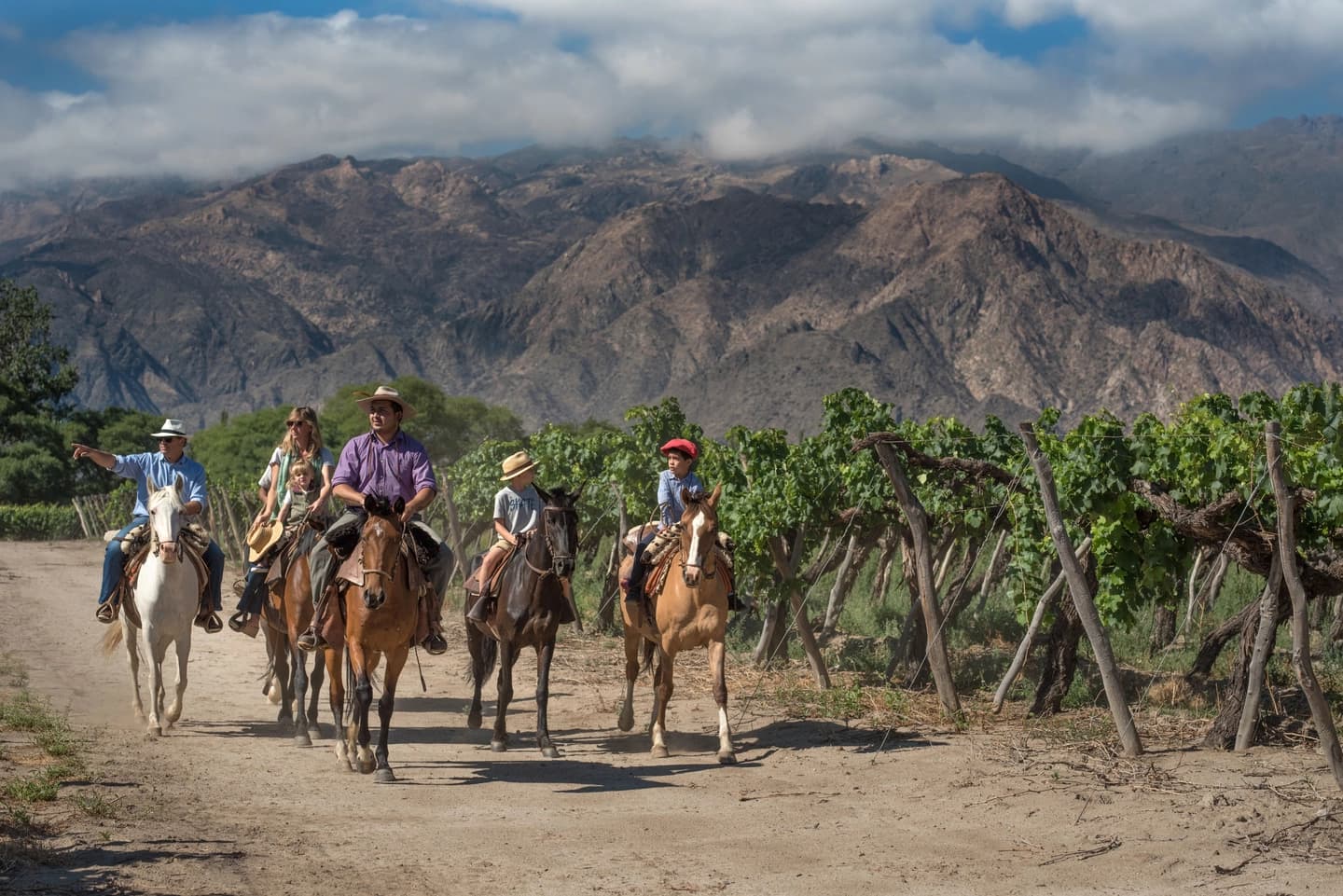 Cabalgata en Cafayate: Viñedos y Valles