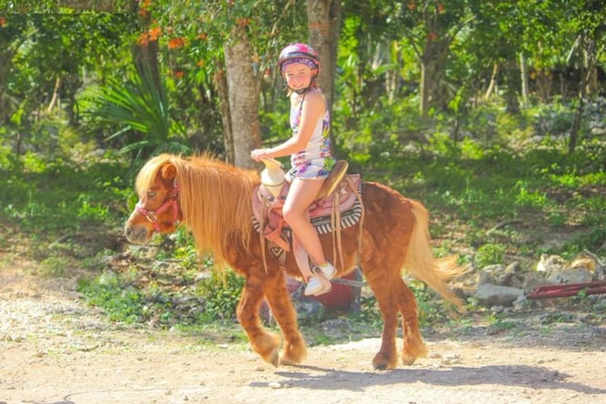 Cabalgata y Tirolesas en la Selva desde Cancún