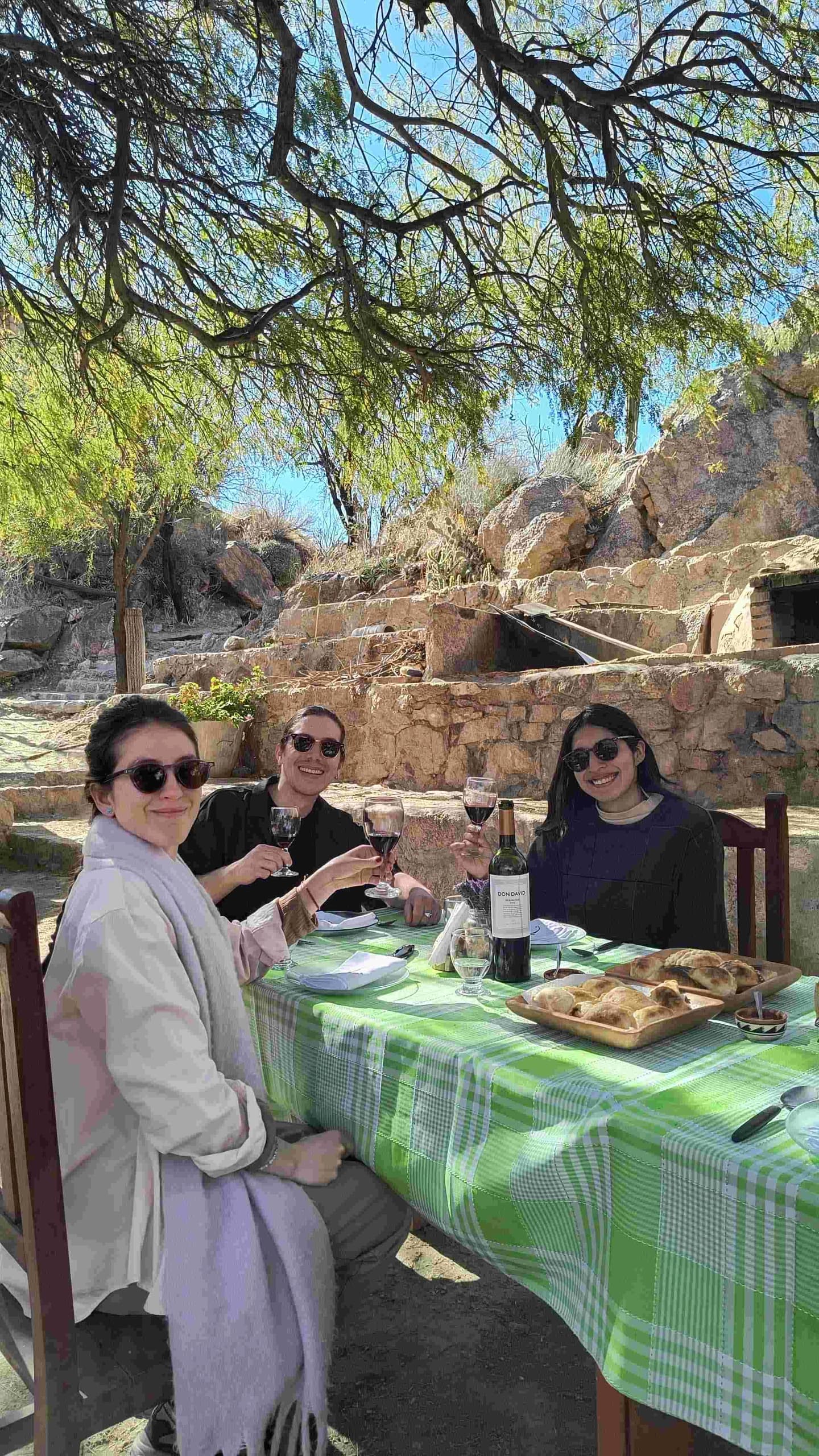 Experiencia de Vino y Naturaleza en Cafayate