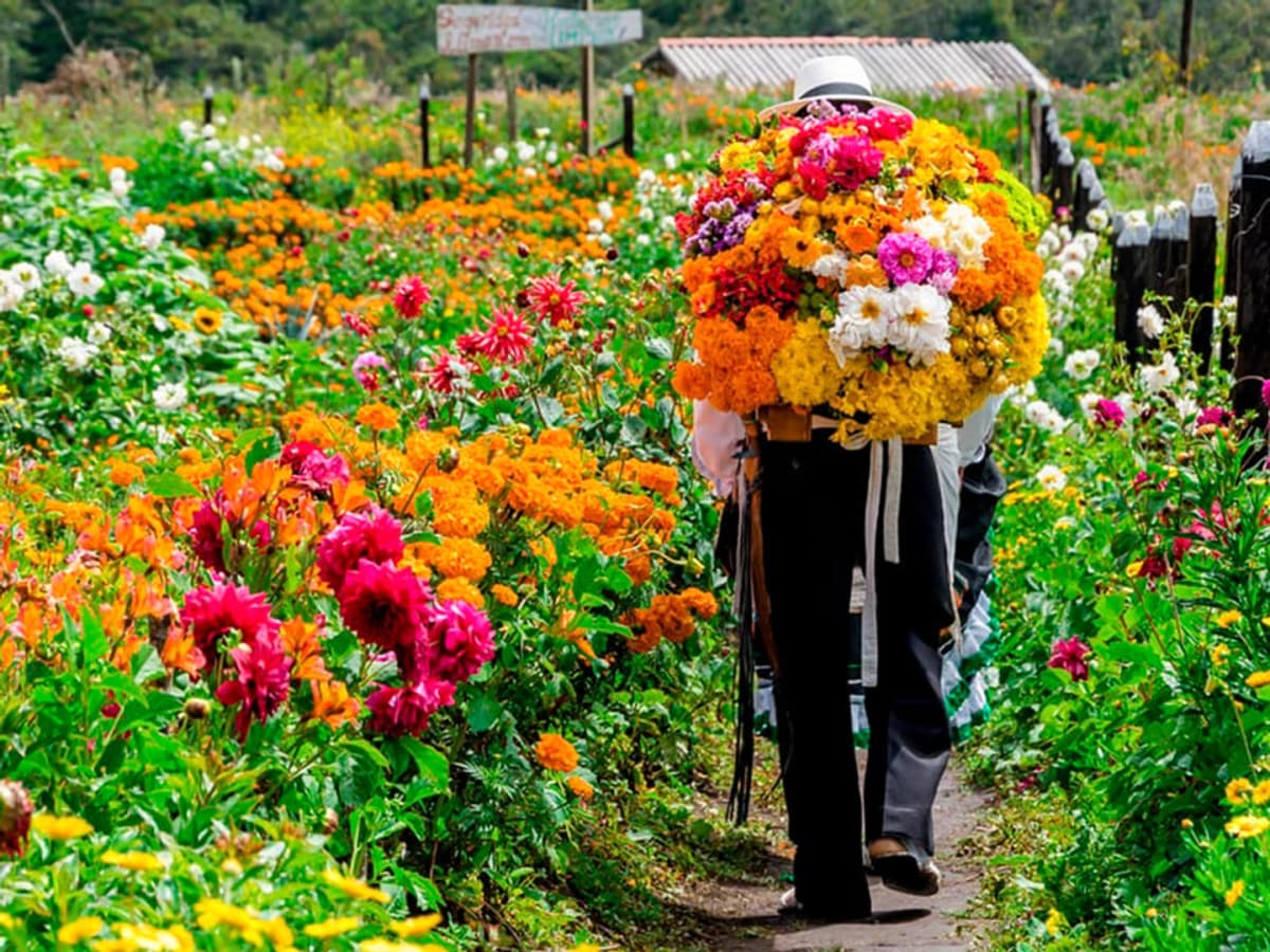 Tour de la Cultura Silletera en Santa Elena y feria de flores