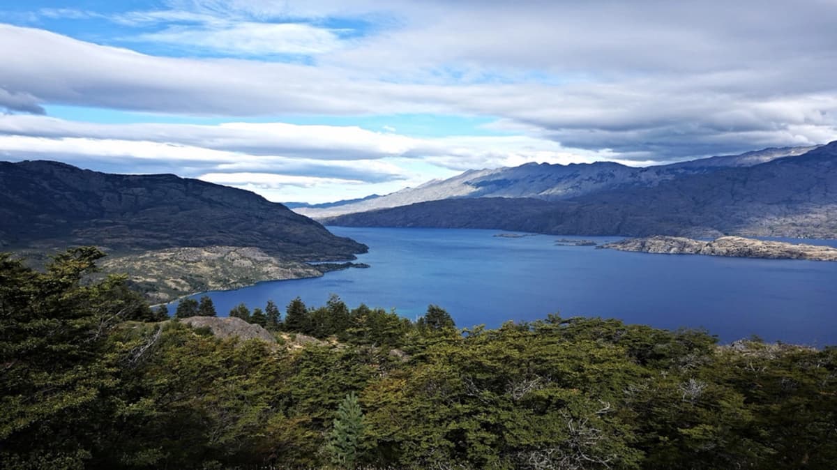Entrada Parque Nacional Patagonia - Sector Tamango