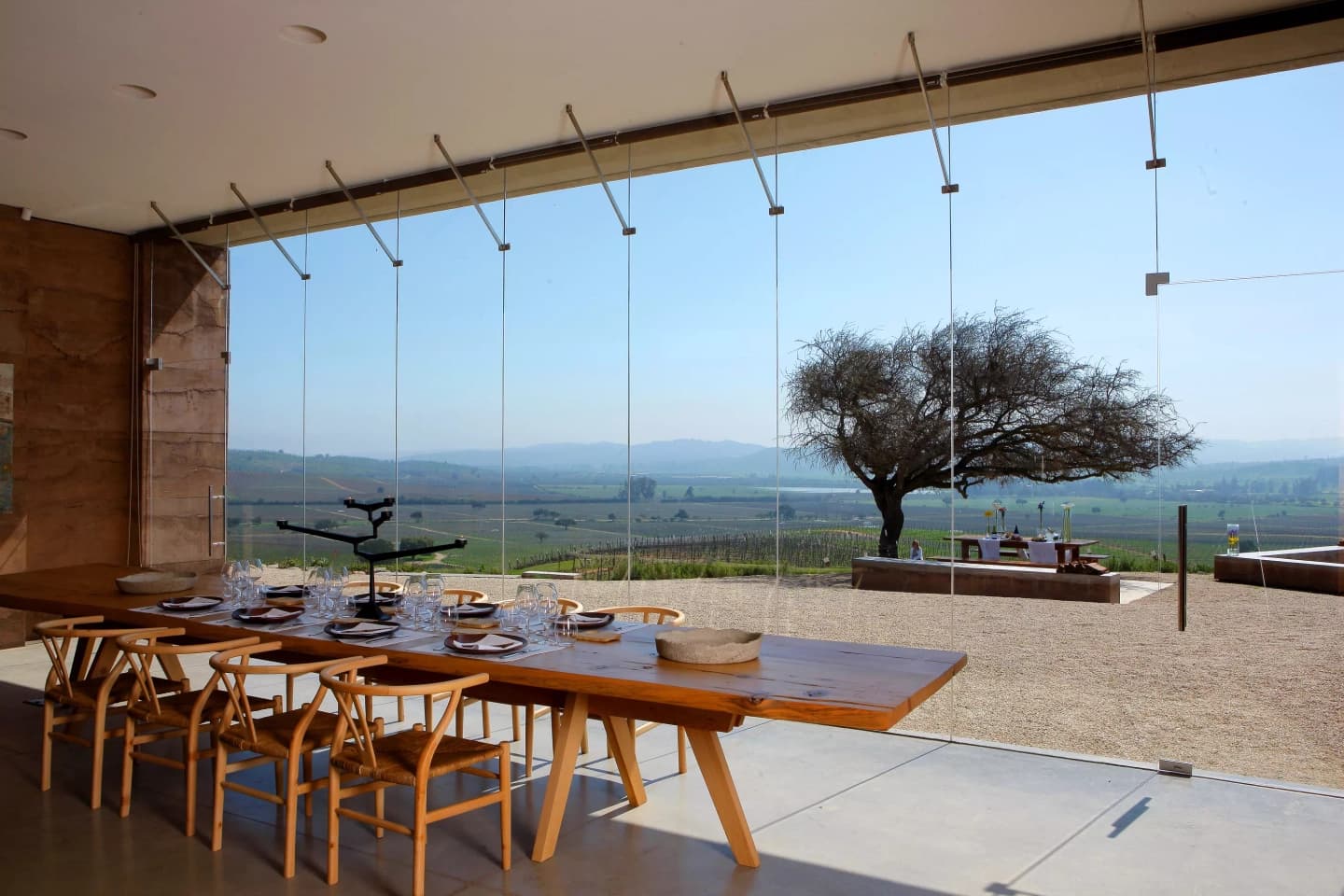 Wine Tour at Casas del Bosque Vineyard from Casablanca
