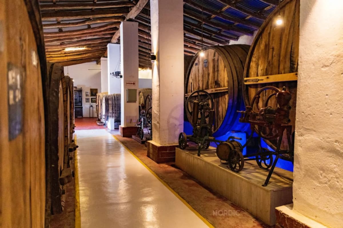 Excursión a Cafayate, Bodegas y Valles Calchaquíes
