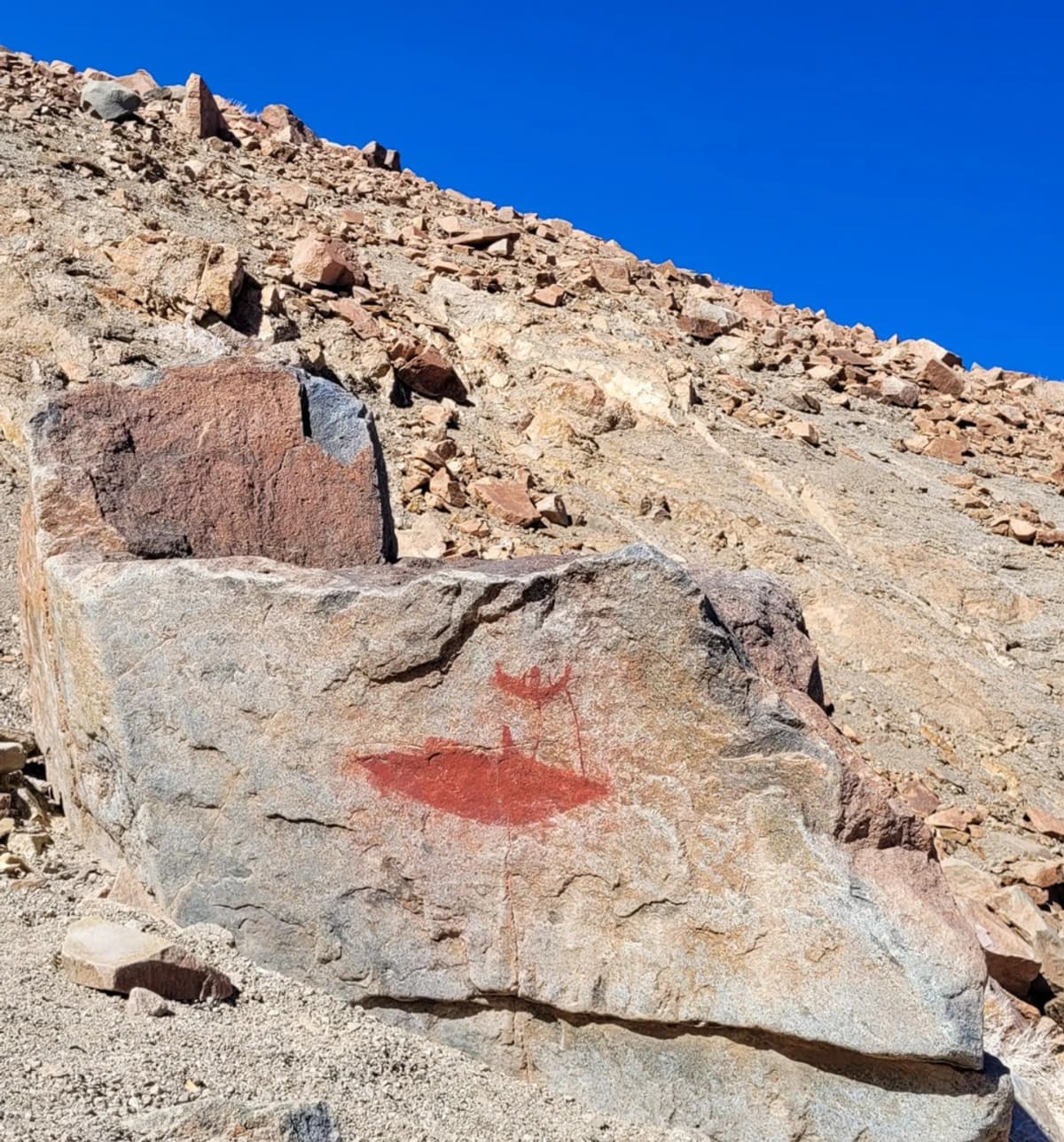 Tras las Huellas de los Changos: Trekking Pictografías de Quebrada El Médano